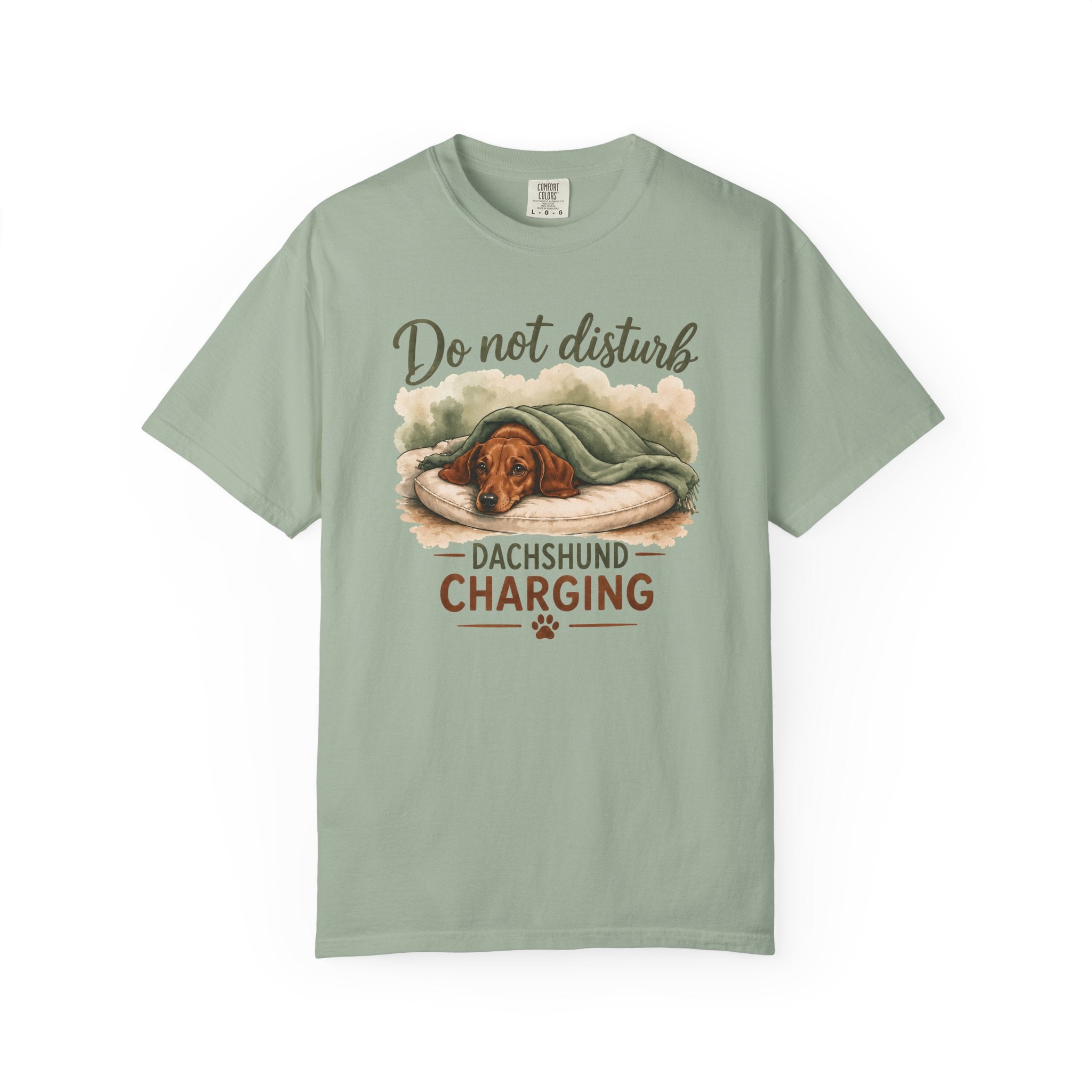 Do Not Disturb T-shirt